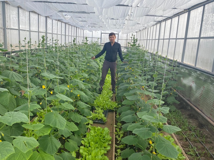 ماكسيمنىڭ عاجايىپ باعى