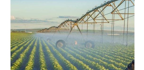 ەلىمىزدە سۋارۋ ماۋسىمى اياقتالۋعا تاياۋ