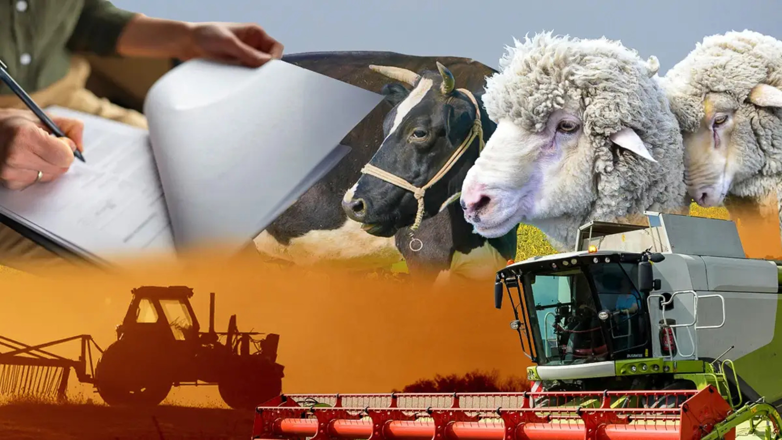 اۋىل شارۋاشىلىعى ساناعىنىڭ ونلاين كەزەڭى 20 قىركۇيەككە دەيىن ۇزارتىلدى