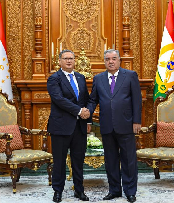 تاجىكستان پرەزيدەنتى قازاقستان ءسىم باسشىسىن قابىلدادى