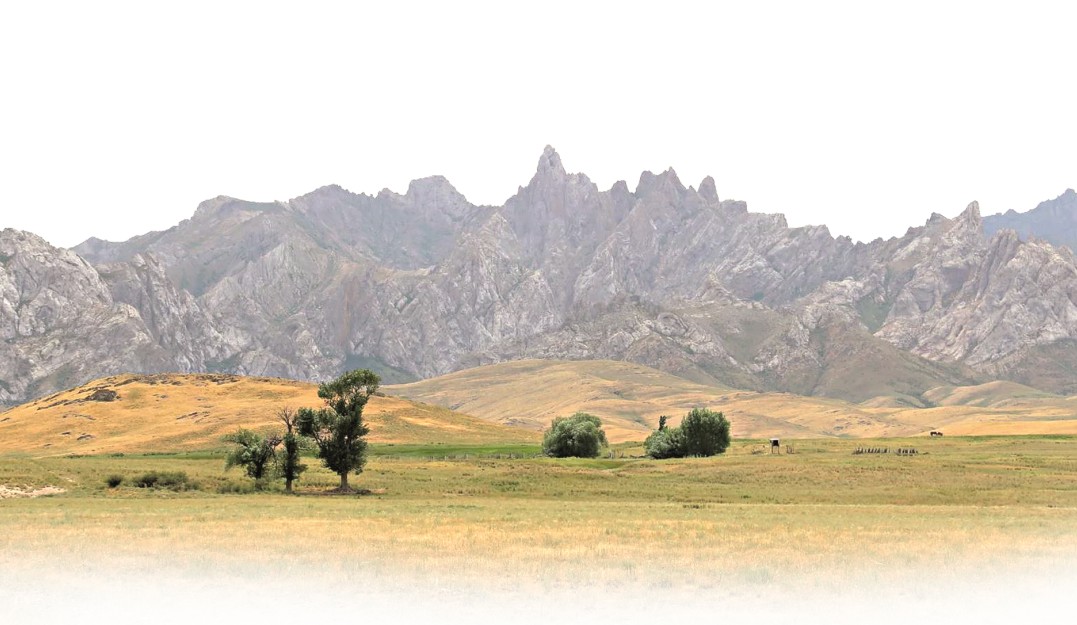 «اۋىل عانا اۋىسپايتىن استانا»