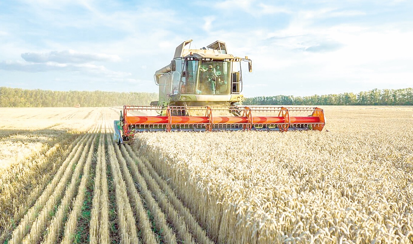 ەلىمىزدە 5,9 ملن توننا استىق جينالدى