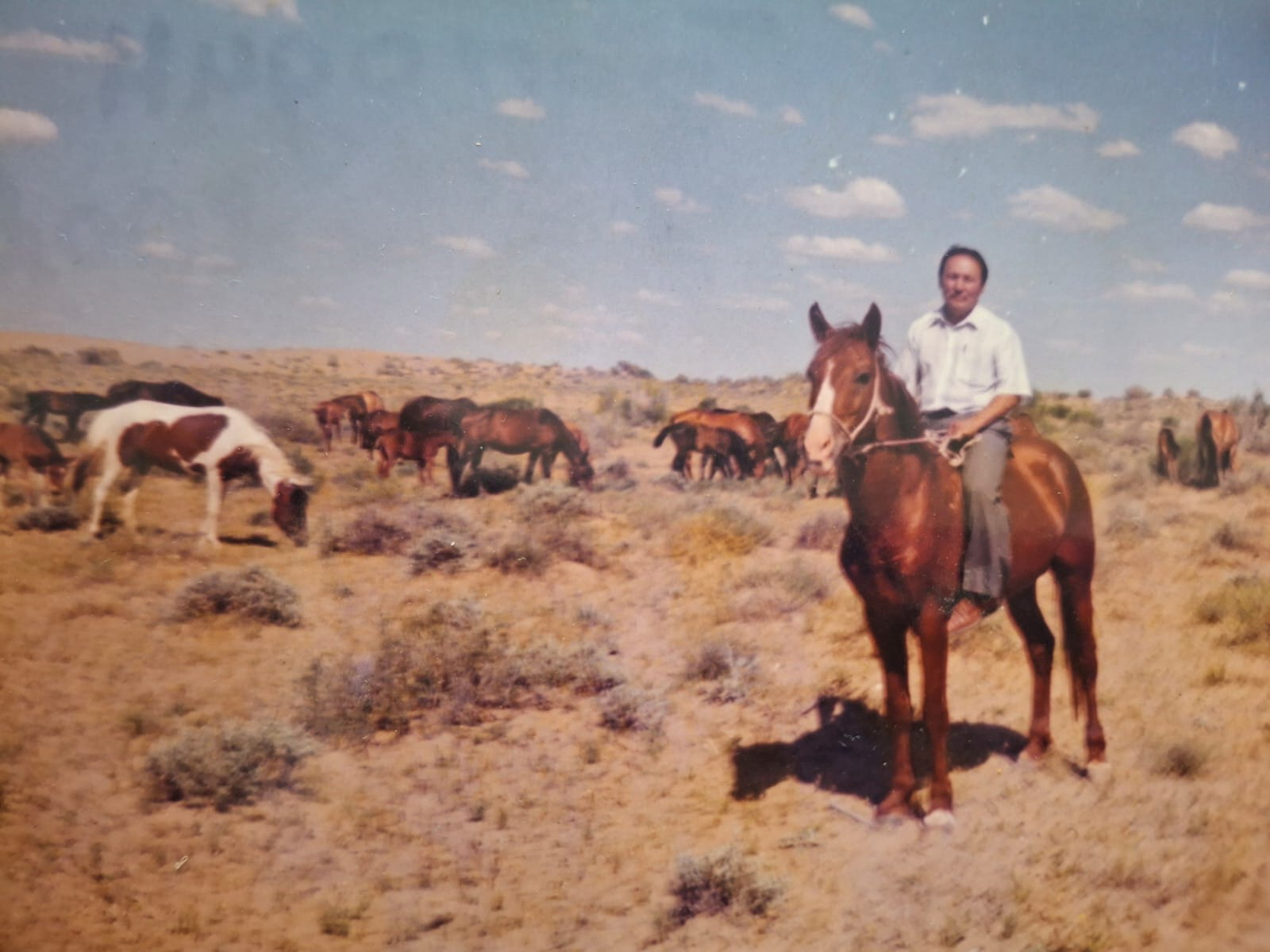 «گوسپودين»