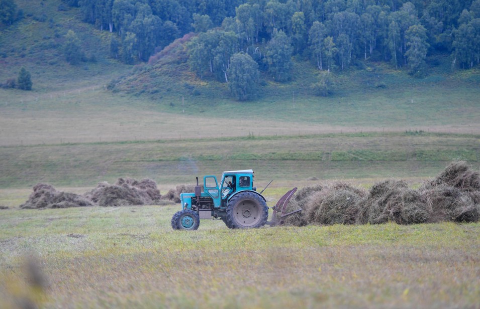 شابىندىققا شالعى ءتۇستى