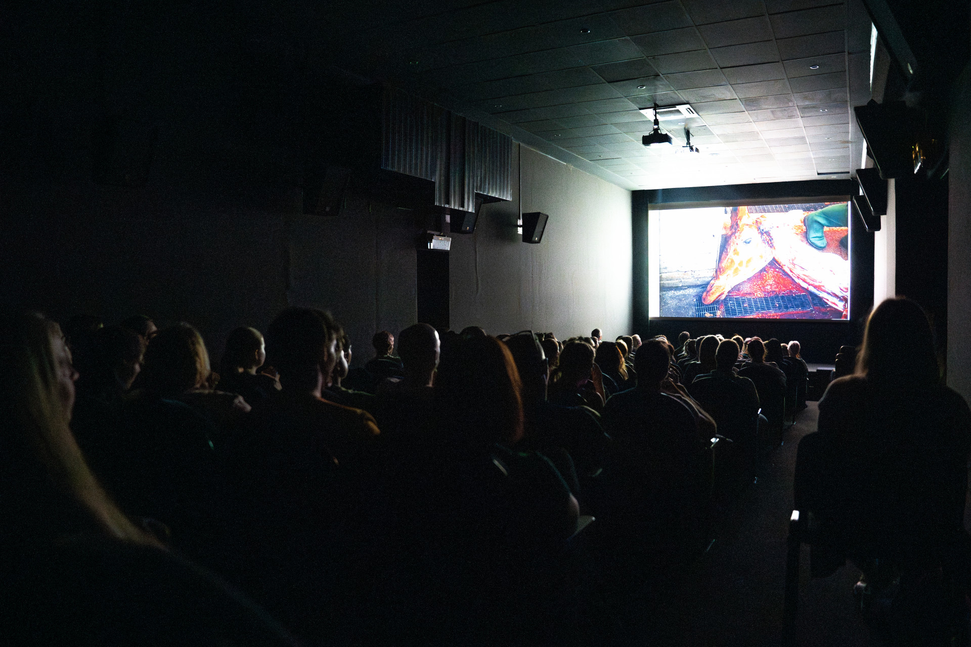 قازاق كينوسى حالىقارالىق كينوفەستيۆالدە ەكى جۇلدە جەڭىپ الدى