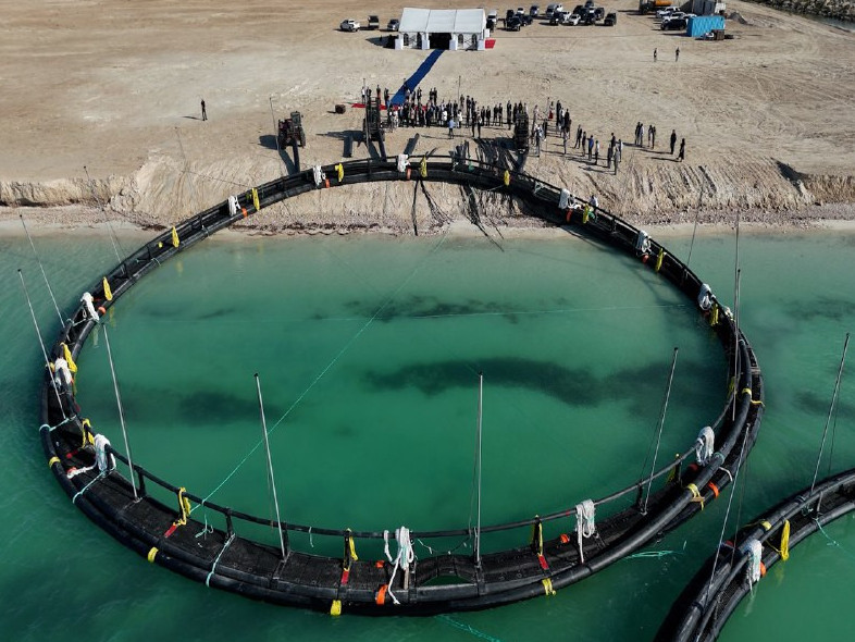 ماڭعىستاۋدا ورتالىق ازياداعى العاشقى تەڭىز اكۆاشارۋاشىلىق جوباسى ىسكە قوسىلدى