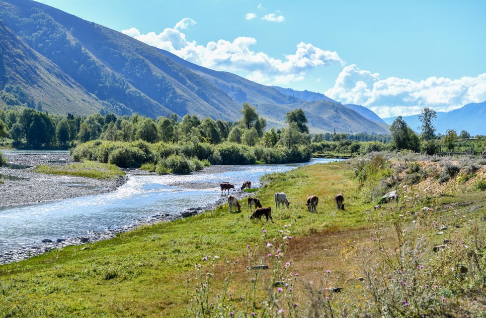 مارقاكولدەگى تۋريستىك قالاشىقتىڭ بولاشاعى قانداي؟