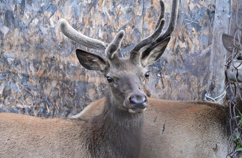 ۇلتتىق پاركتى قورعاۋ – ەلدىك ماسەلە