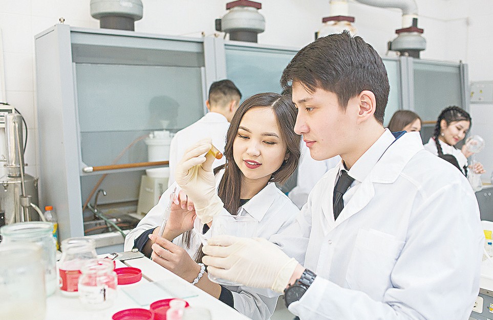 سۇرانىسقا يە ماماندىقتار –  دامۋىمىزدىڭ وزەگى