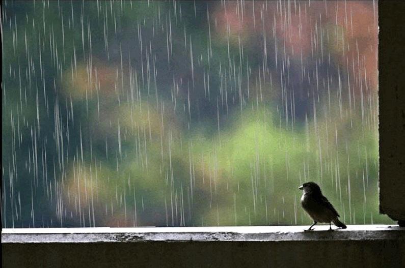 قازاقستاندا الداعى كۇندەرى اۋا رايى قانداي بولادى