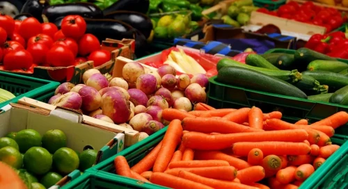 پرەزيدەنت اگروحابتار مەن لوگيستيكا ورتالىقتارىن دامىتۋدى تاپسىردى