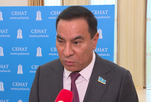 سەناتور: سۋبسيديالاۋ جۇيەسى بىرىڭعاي پلاتفورماعا كوشتى