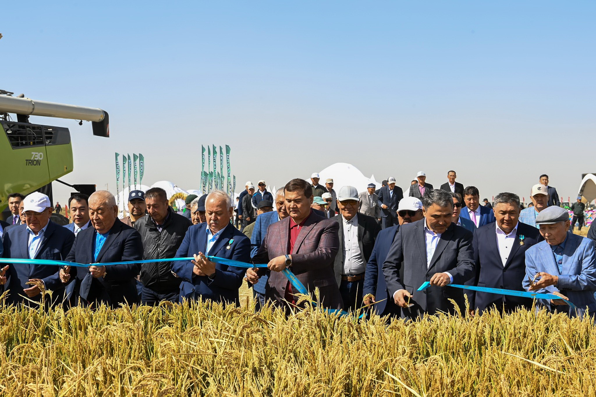 سىر كۇرىشىنە وراق ءتۇستى