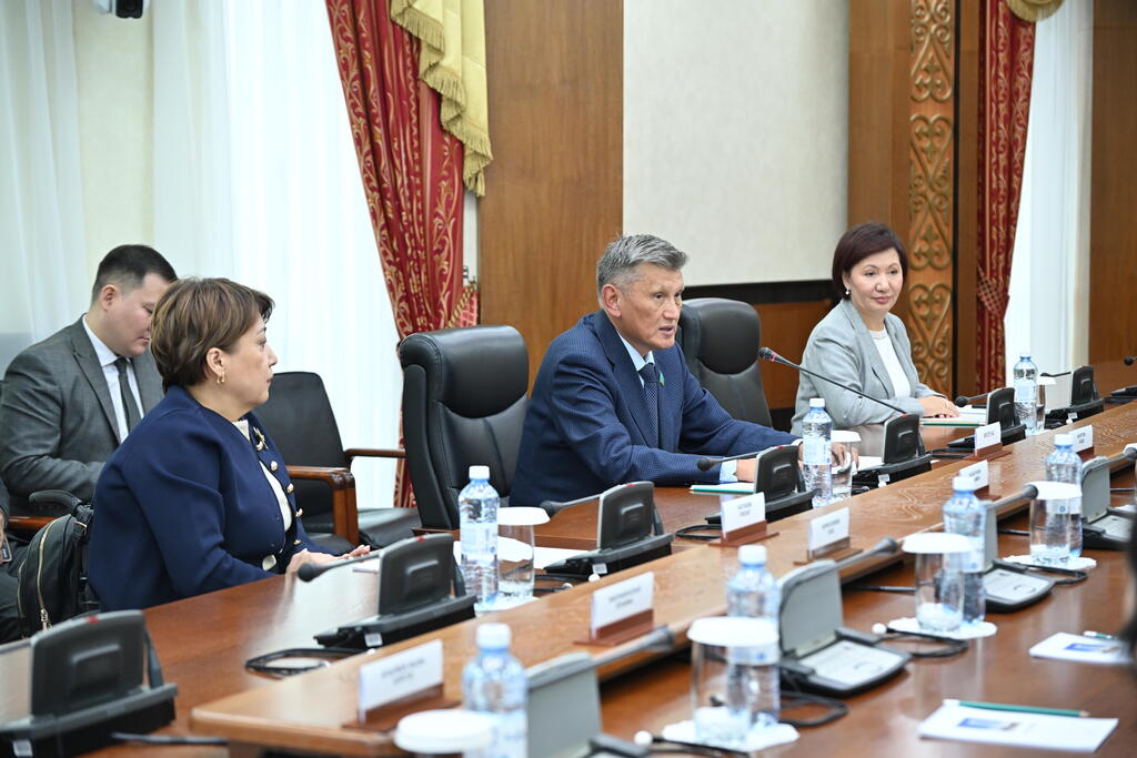 سەناتورلار ينكليۋزيۆتى ساياسات ماسەلەسىن تالقىلادى