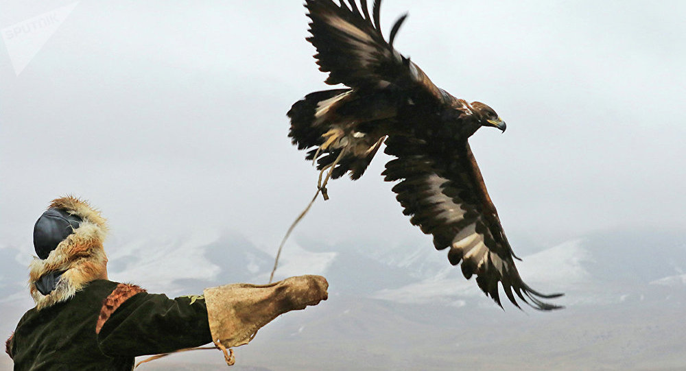 شورانىڭ سىنشىلىعى