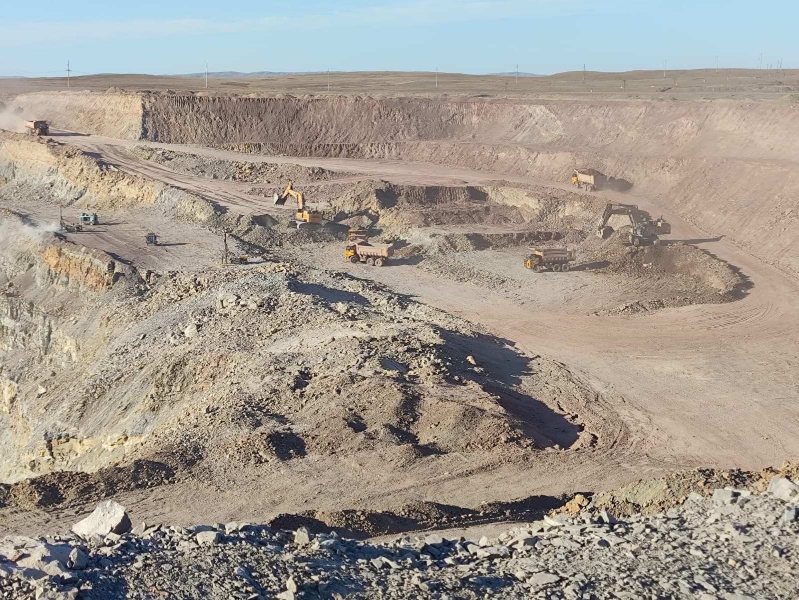 كەلەشەگى زور كەنىشكە ساپار