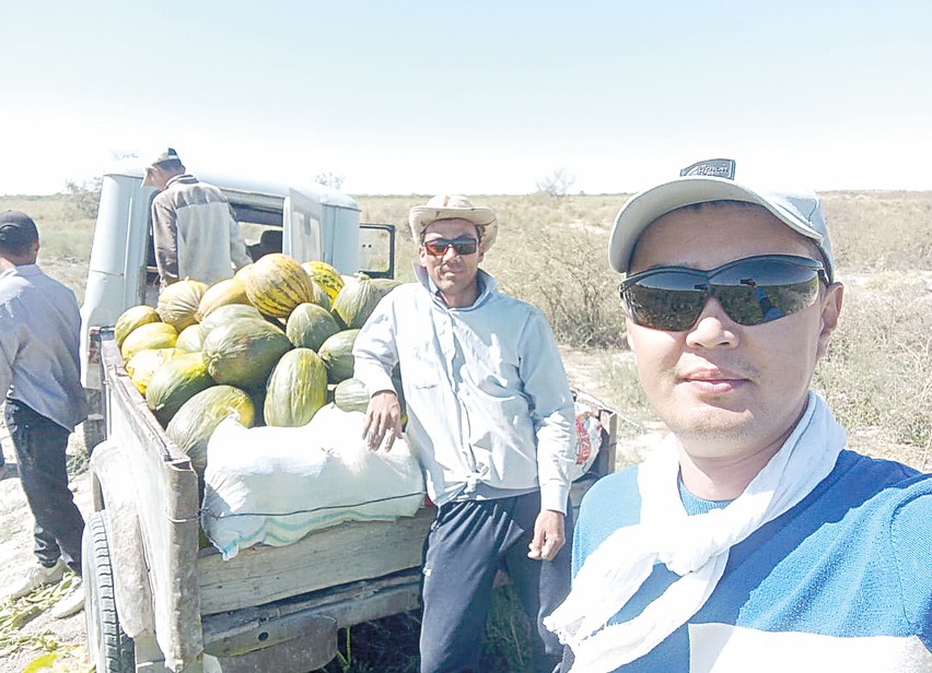 جاستارعا جۇمىسسىزدىق سىلتاۋ ەمەس