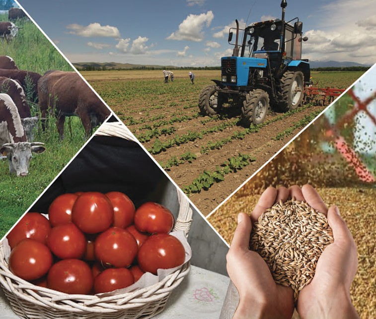 اۋىل شارۋاشىلىعى سالاسىنىڭ جۇگى سالماقتى