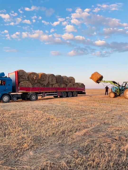 قازاقستاندا 28,9 ملن توننا مال ازىعى دايىندالدى