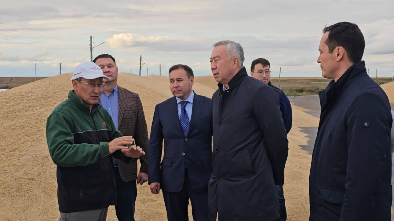 قازاقستاندا اسىل تۇقىمدى مال شارۋاشىلىعىن دامىتۋعا ارنالعان «يگىلىك» باعدارلاماسى ىسكە قوسىلادى