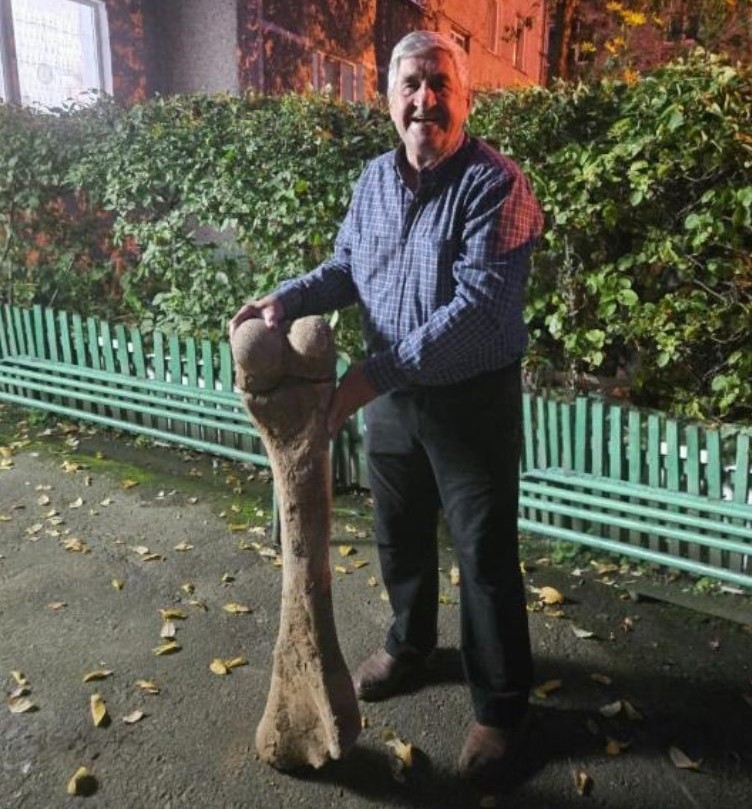 مامونتتىڭ جىلىك سۇيەگى تابىلدى