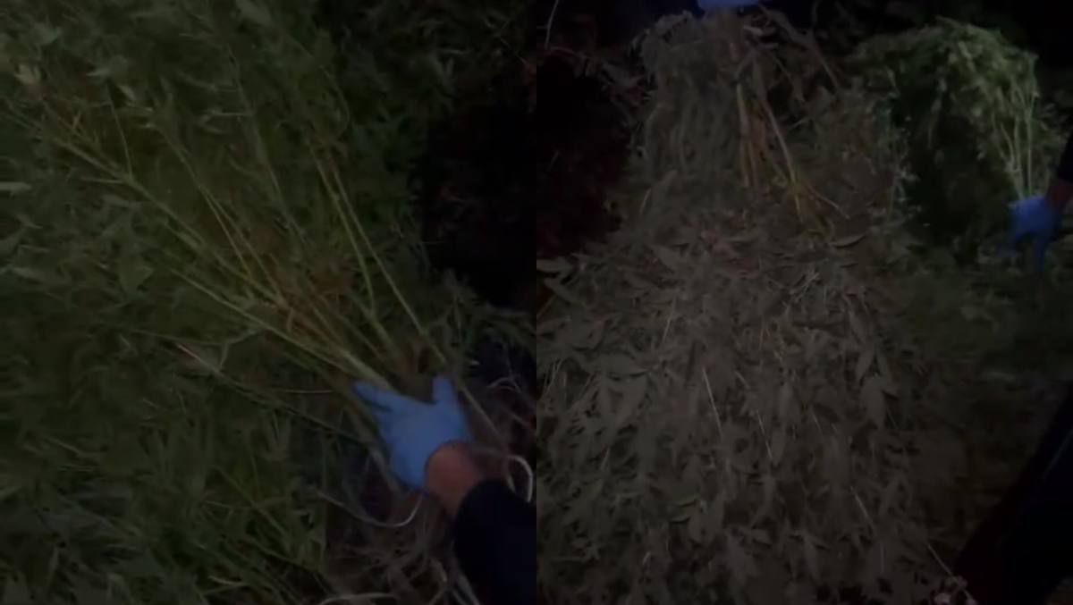 قاراعاندى وبلىسىندا ءىرى كولەمدەگى قاراسورا القابى اشكەرەلەندى