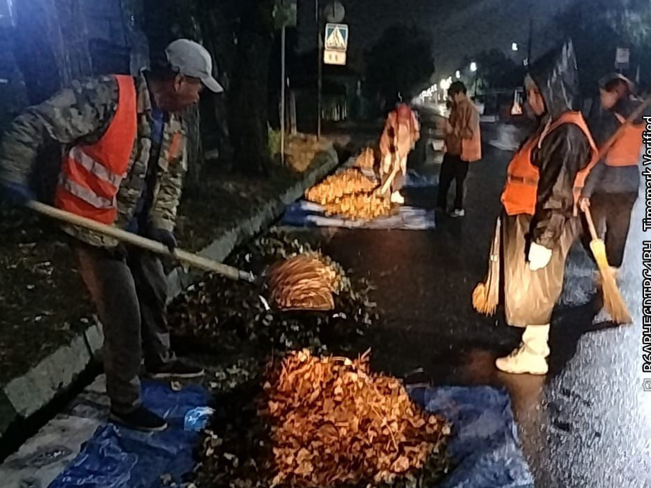 نوسەر سايىن الماتىنى نەگە سۋ باسادى؟