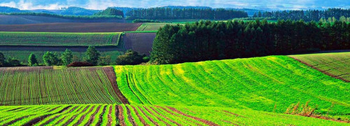 مەملەكەت جەرلەردى قايتا اينالىمعا ەنگىزە باستادى