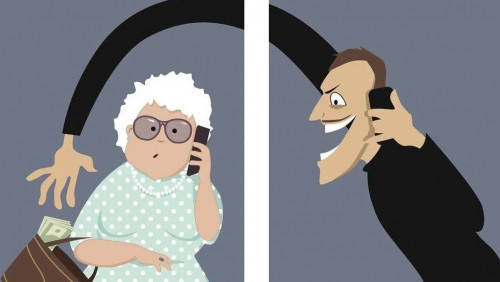 شىمكەنتتە ينتەرنەت-الاياقتىقپەن اينالىسقان قىلمىستىق توپ ۇستالدى