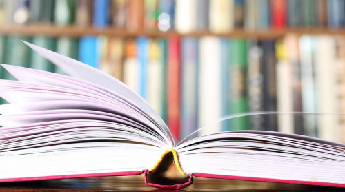 اۋعانستاندا ايەلدەر جازعان كىتاپتاردى وقىتۋعا تىيىم سالىندى