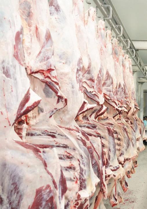 اشم: سيىر ەتى باعاسى وزىندىك قۇن مەن ەت ساپاسىنا بايلانىستى قالىپتاسادى