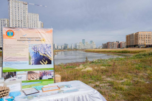 تالدىكولدە تازارتۋ جۇمىستارى جۇرگىزىلدى