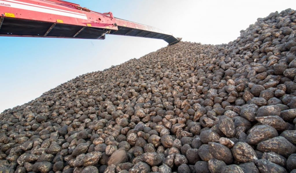 قانت زاۋىتتارىنىڭ قارقىنى