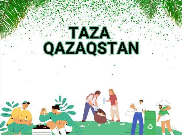 تاربيە باسى – تازالىق