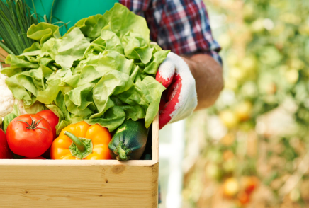 اۋىل شارۋاشىلىعى ونىمدەرىنىڭ باعاسى قاتاڭ باقىلاۋدا بولادى