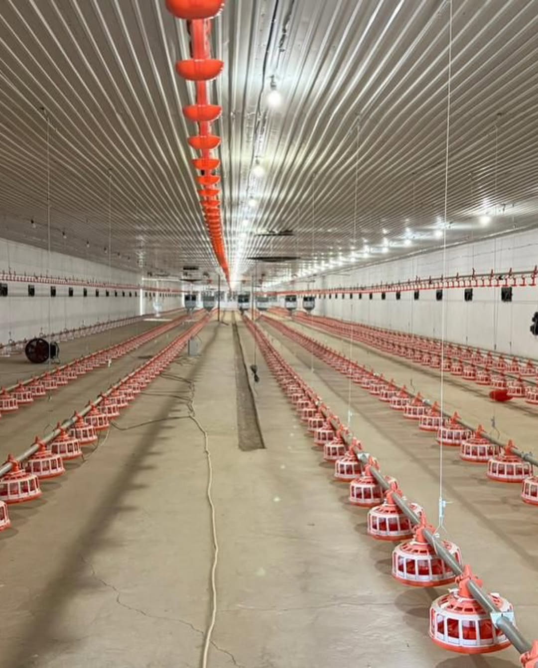 يمپورتقا تاۋەلدىلىك ازايادى