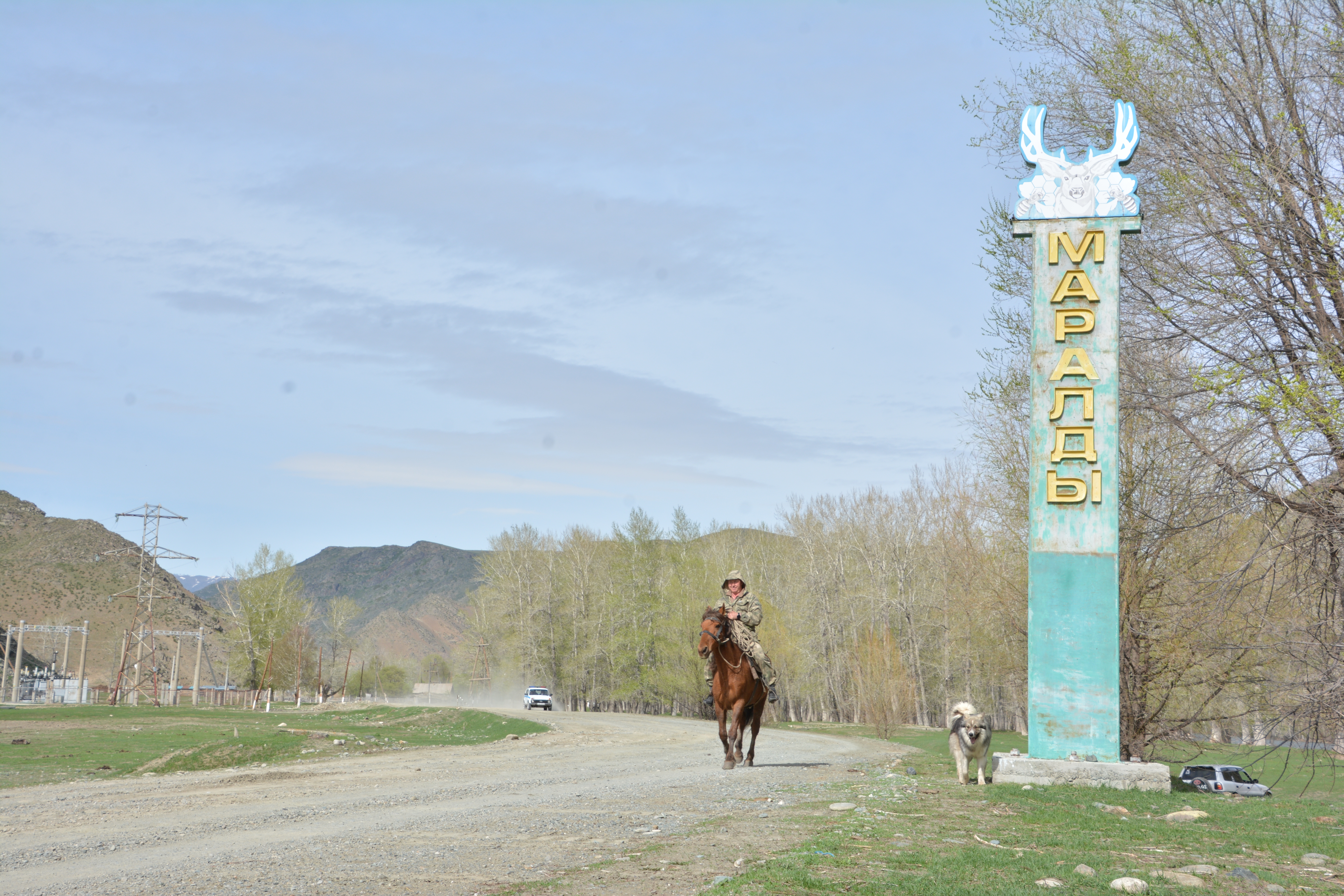 مارالدىدا مال قىرىلىپ جاتىر