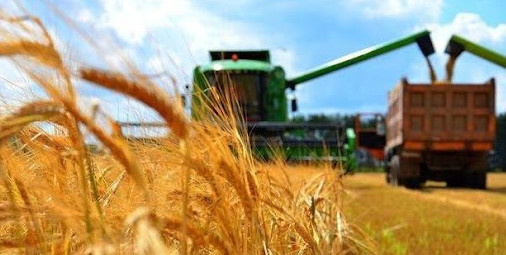 اقمولا وبلىسىندا 5 ميلليون توننا استىق جينالدى