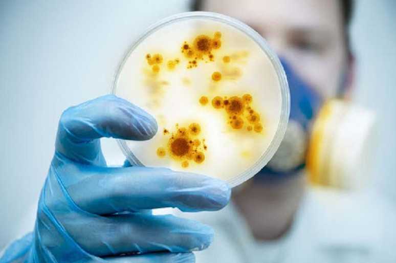 ەلىمىزدە جۇقپالى اۋرۋ ەداۋىر ازايدى