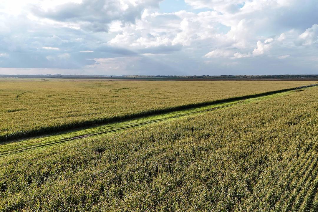 ورىستەن دۇكەنگە دەيىن