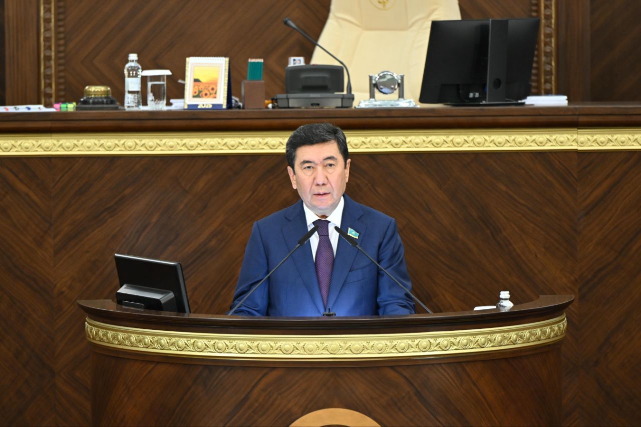 بىزگە جاساندى ينتەللەكتىنىڭ قازاقستاندىق مودەلى قاجەت - ەرلان قوشانوۆ