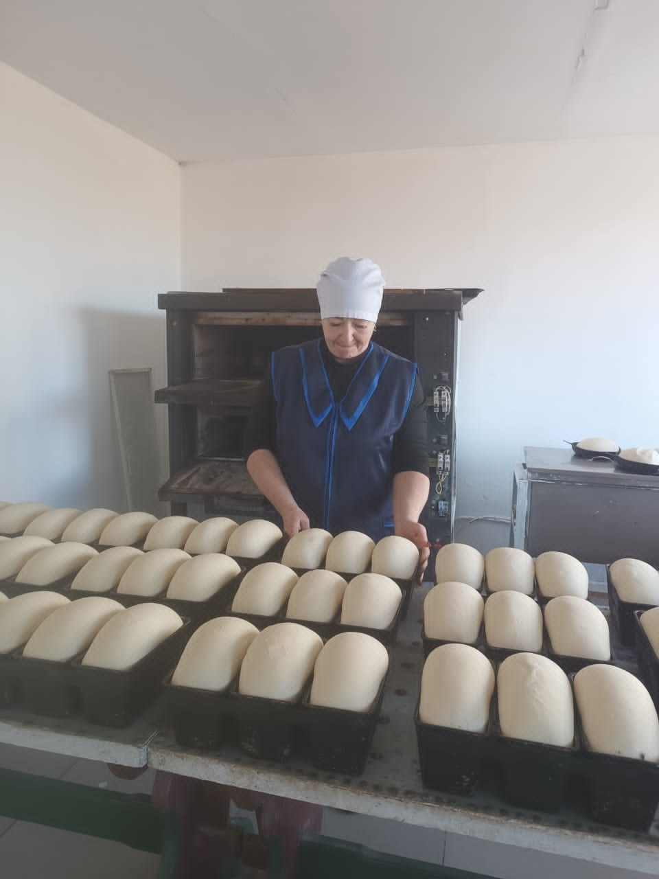 ماماندىعىنا ادال ناۋبايحاناشى