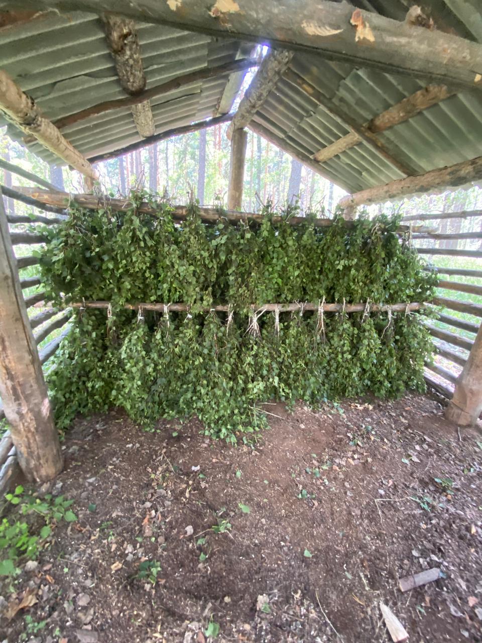 اڭ-قۇسقا اباي بولايىق