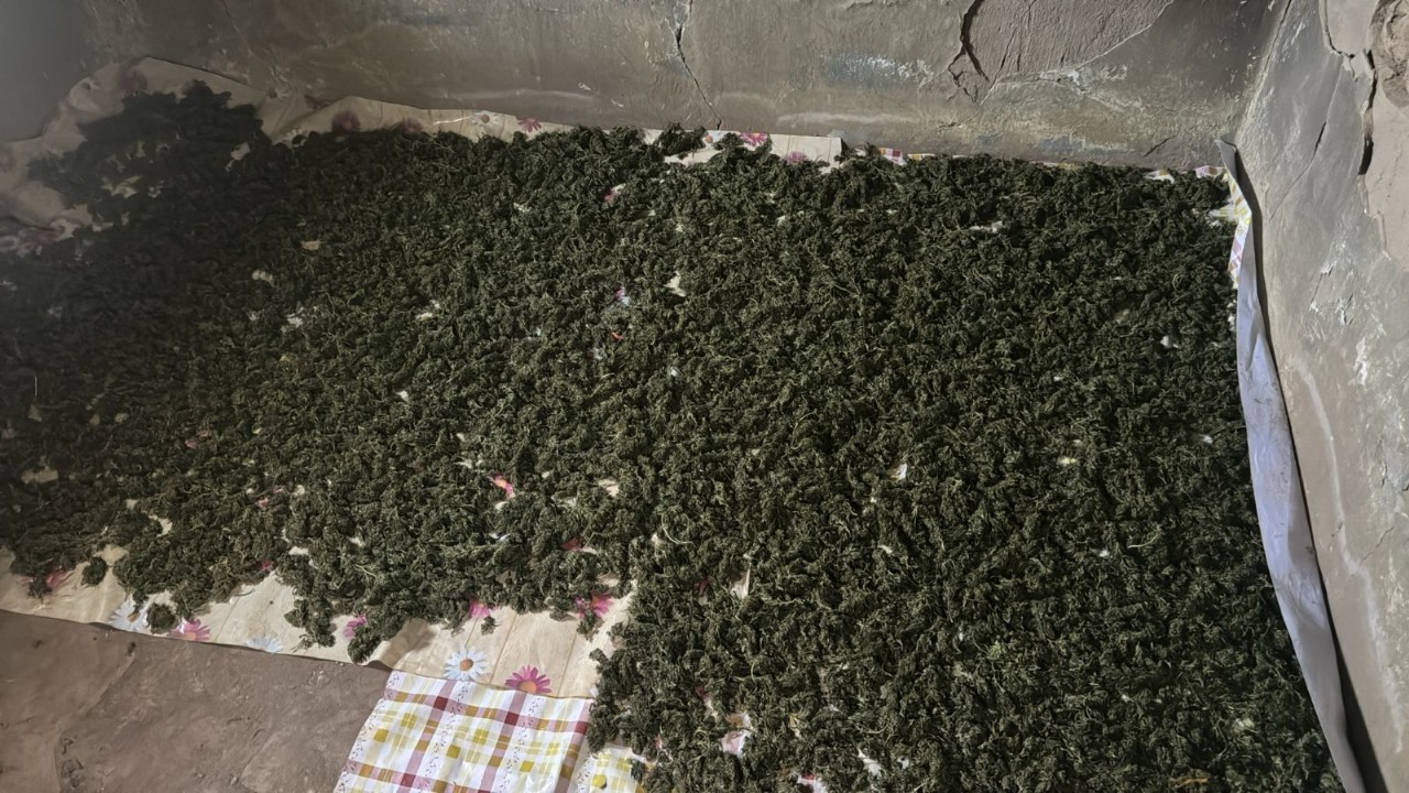 قىزىلوردادا ءىرى ەسىرتكى القابى جويىلدى