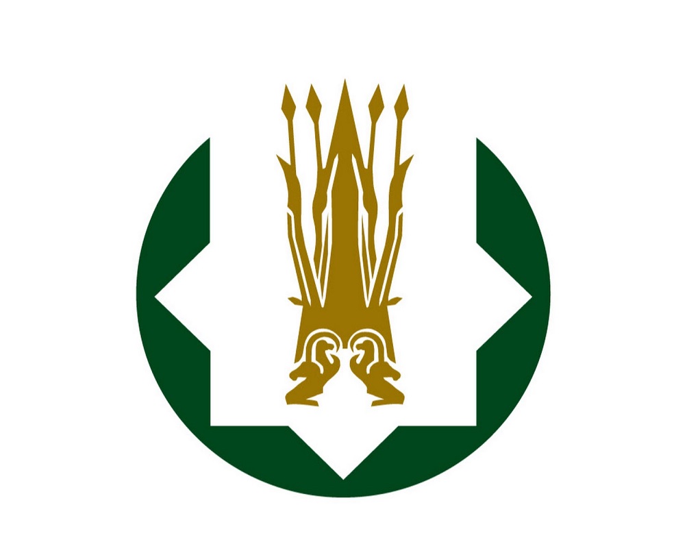 اپتالىق دايدجەست: جاڭا «ۆاليۋتا» – ستەيبلكوين