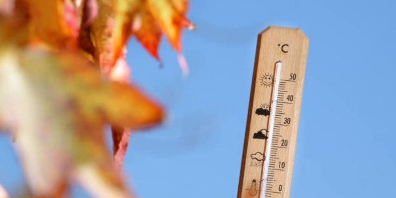 ەلىمىزدە +25 گرادۋسقا دەيىن كۇن جىليدى