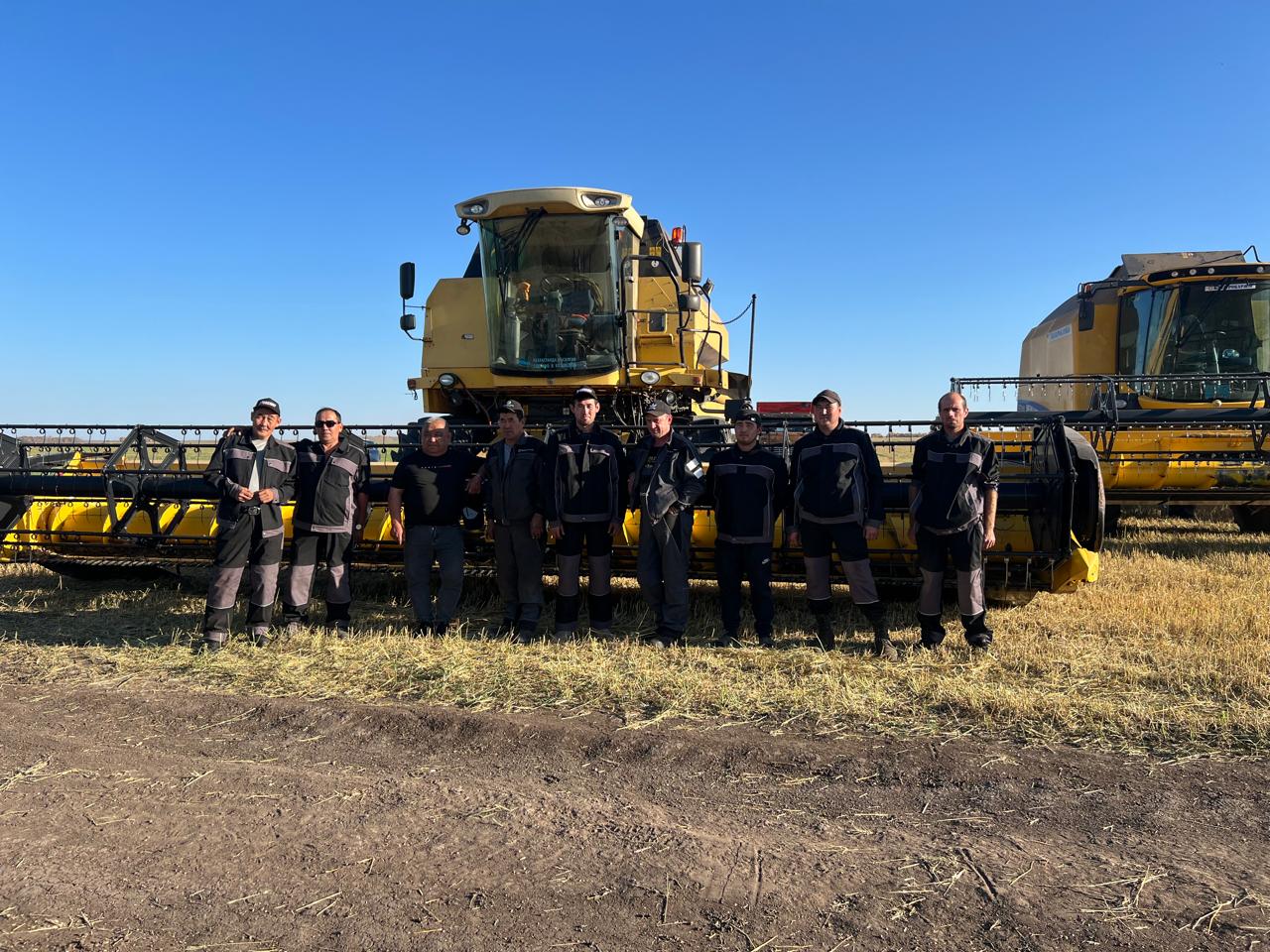 استىقتى القاپتاعى قاۋىرت قيمىل