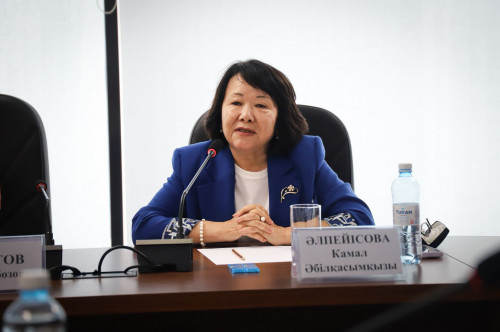 5 كەسەلگە قارسى كۇرەستىڭ جول كارتاسى ازىرلەنەدى