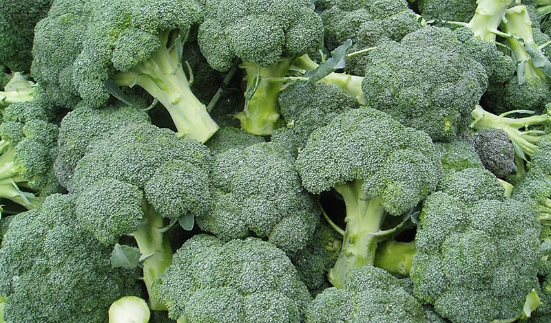 اتىراۋدا وسىرىلگەن بروككولي