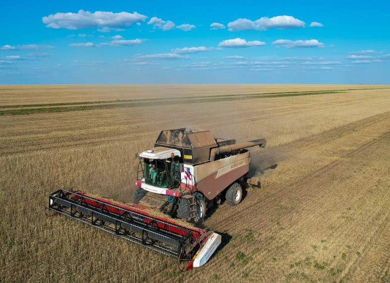 يمپورتقا تاۋەلدىلىك ازايسا يگى